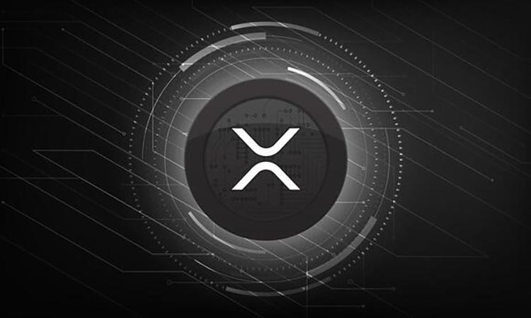 XRP Searches for Support