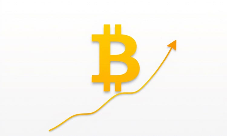 Bitcoin Strengthens Its Position