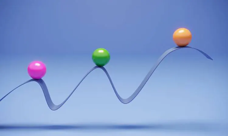 Popular Meme Coins: Growth and Risks