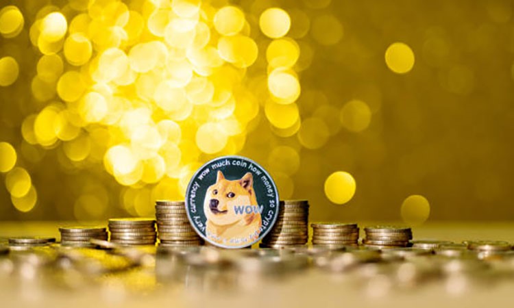 Dogecoin Outlook