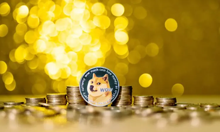 Dogecoin Outlook
