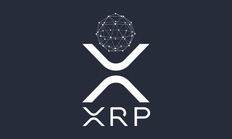 Rise in Popularity of XRP Ledger