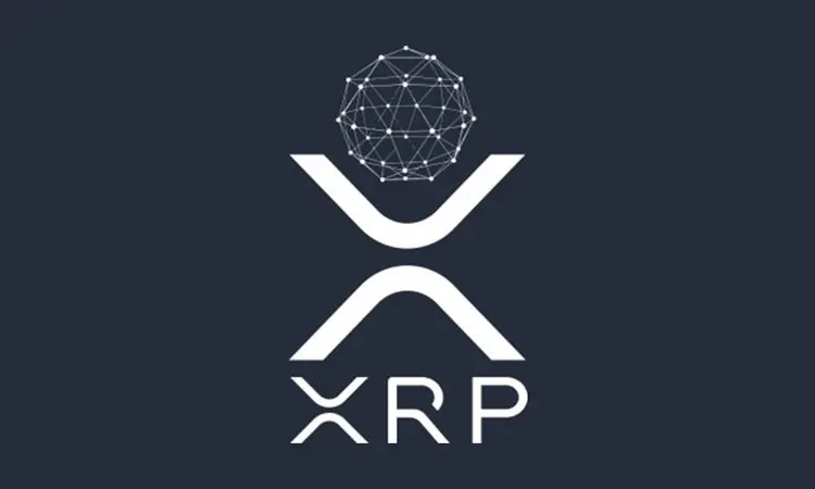 Rise in Popularity of XRP Ledger