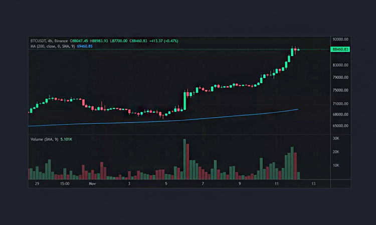 Bitcoin at Its Peak: Value and Projections
