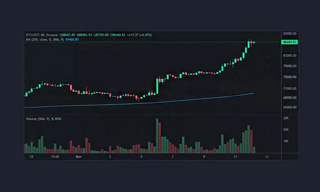 Bitcoin at Its Peak: Value and Projections