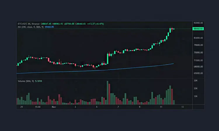 Bitcoin at Its Peak: Value and Projections