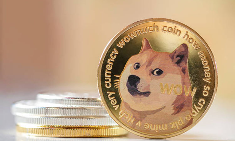 Dogecoin: Whale Activity Drives Growth