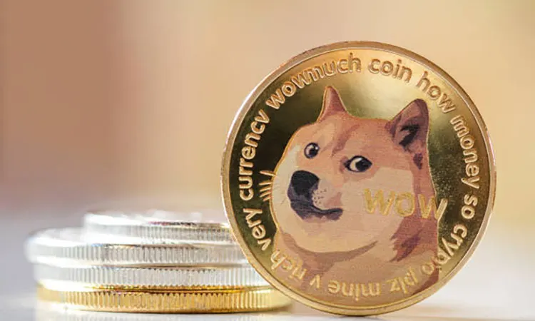 Dogecoin: Whale Activity Drives Growth