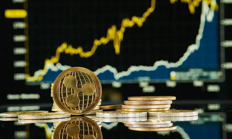 XRP Optimism: Whale Accumulation