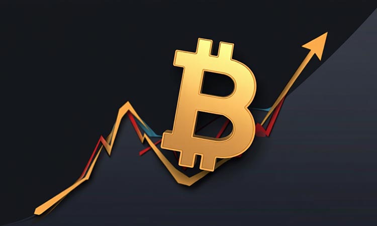 Bitcoin Seeks Support