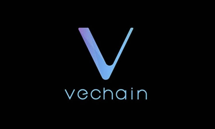 VeChain: Growth Prospects After the Decline
