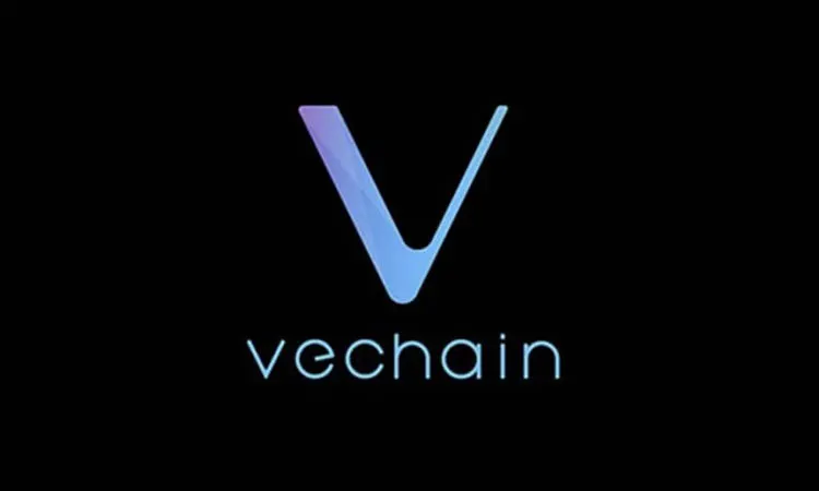 VeChain: Growth Prospects After the Decline
