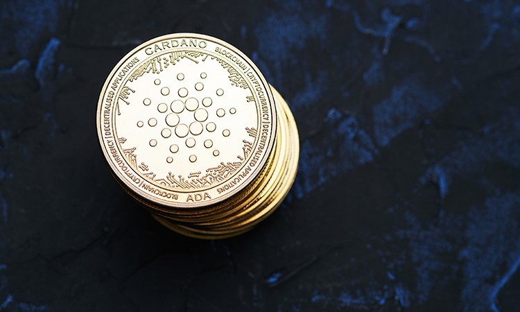 Cardano Prepares for Chang Fork