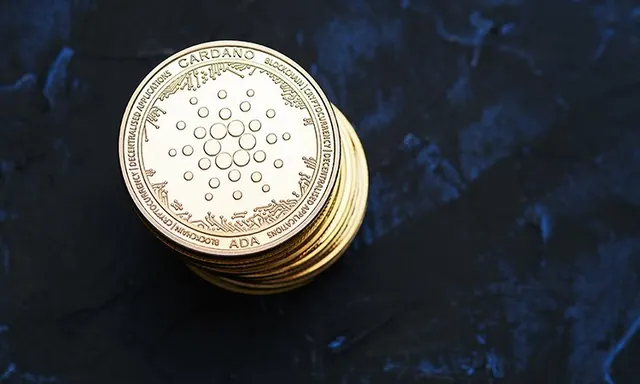 Cardano Prepares for Chang Fork
