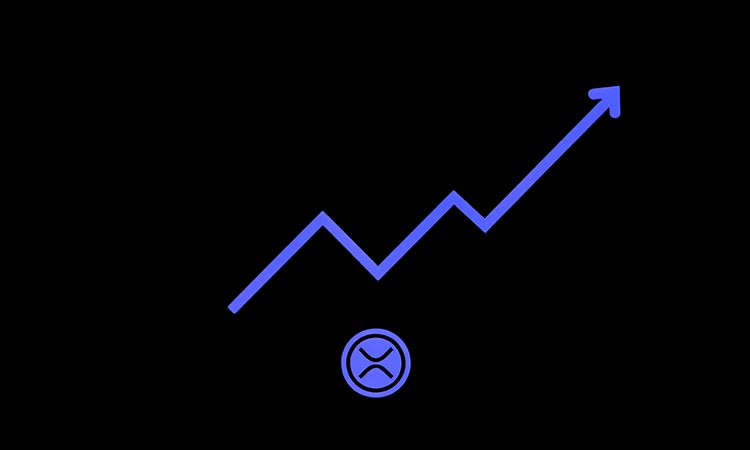 XRP Rises Amid Market Downturn