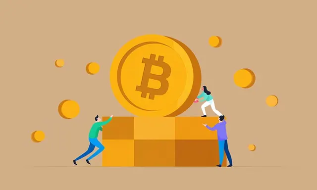 A Whole Bitcoin — A Rarity