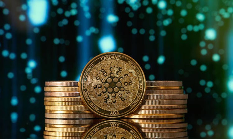 Cardano Surges on Rumors