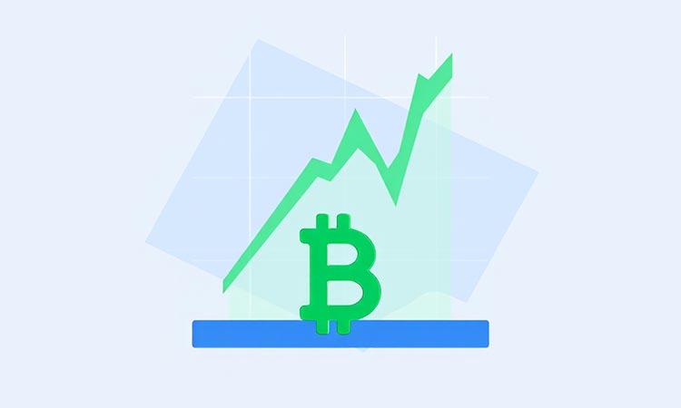 Bitcoin Establishes a Support Zone