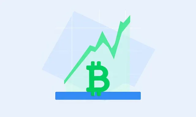 Bitcoin Establishes a Support Zone