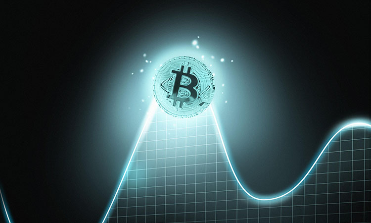 Cryptocurrency Market: Signs of Recovery