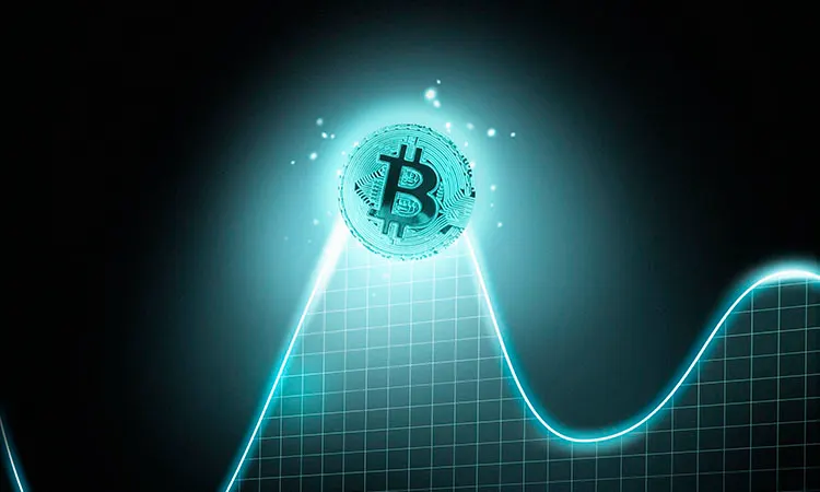 Cryptocurrency Market: Signs of Recovery
