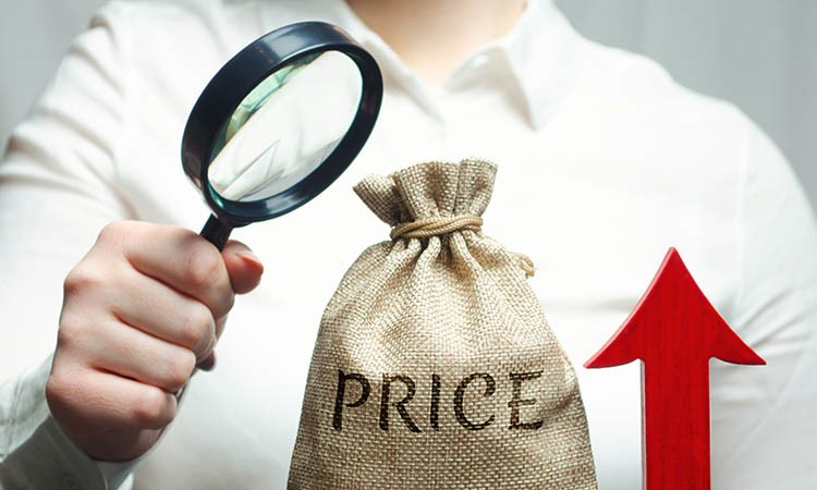 Toncoin Price Rises: A New Historical High Possible