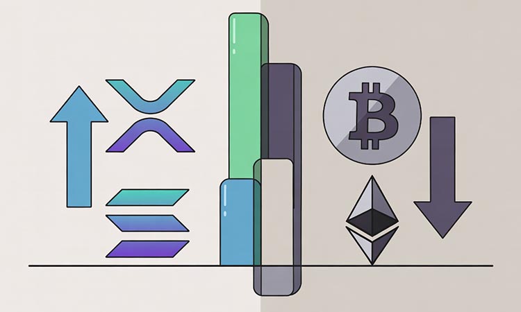 Shift in Investor Interest