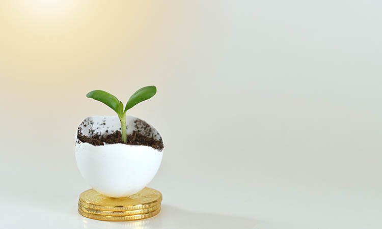 Bitcoin as an Investment Tool