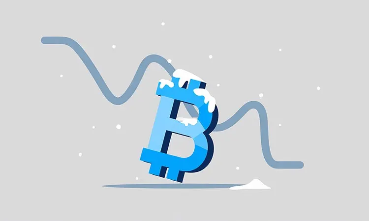Crypto Market Braces for a Downturn