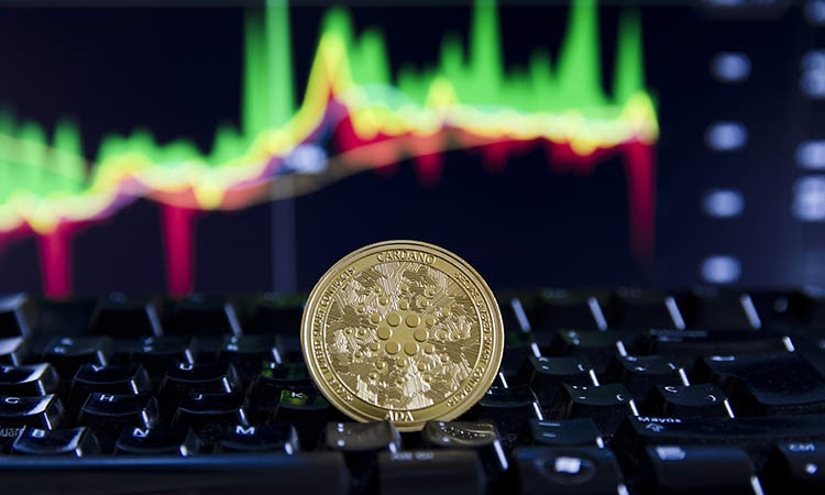 ADA Token Price Growth: Forecasts and Current Metrics