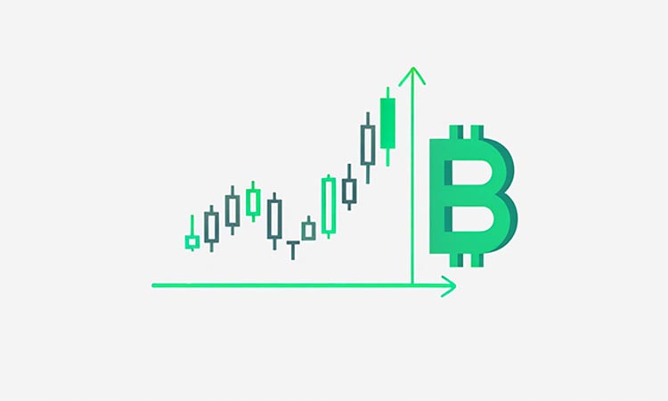 Bitcoin Holds Above $106,000