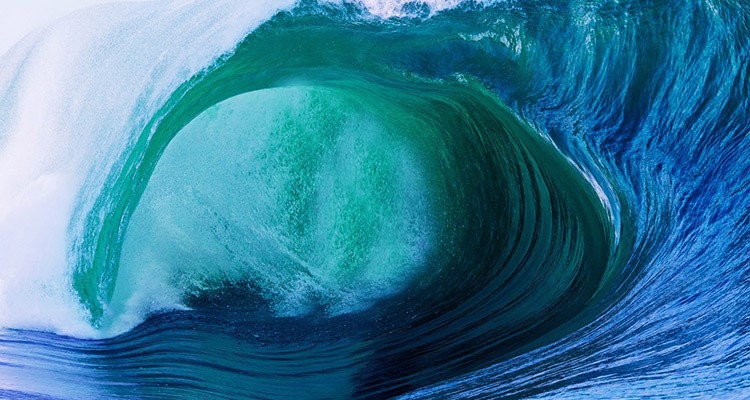 Crypto Markets Under Pressure
