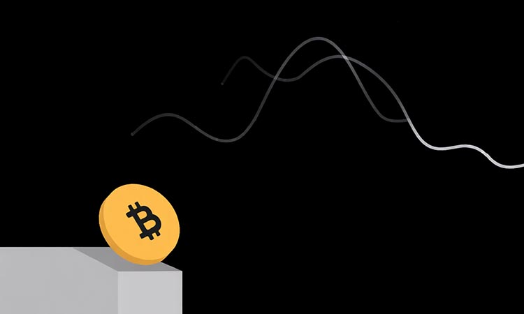 Bitcoin Searches for Support