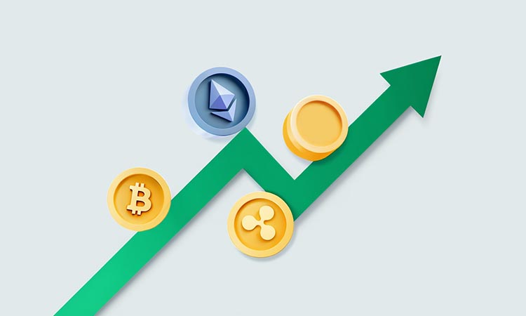 Crypto Market Rebounds