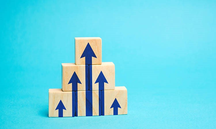 Forecast for Altcoin Growth by Michaël van de Poppe