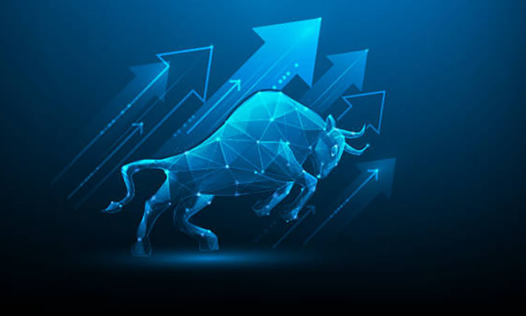 Crypto Market Outlook for Late 2024