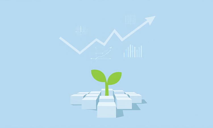 The Crypto Market Seeks Support