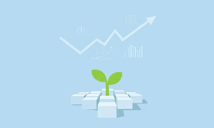 The Crypto Market Seeks Support