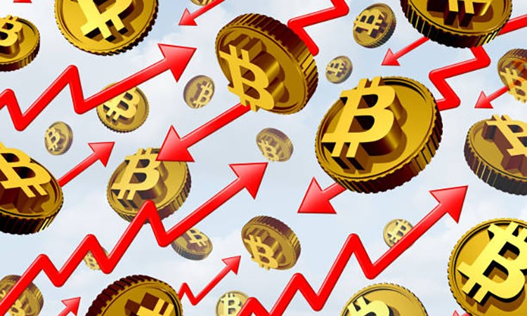 Bitcoin: Volatility and New Prospects