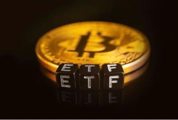 American Economist Warns Bitcoin ETF “Newcomers” of “Bitter Disappointment”