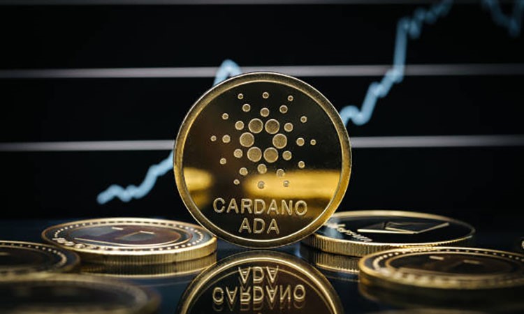 Cardano Growth Forecasts