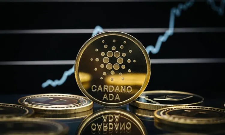 Cardano Growth Forecasts