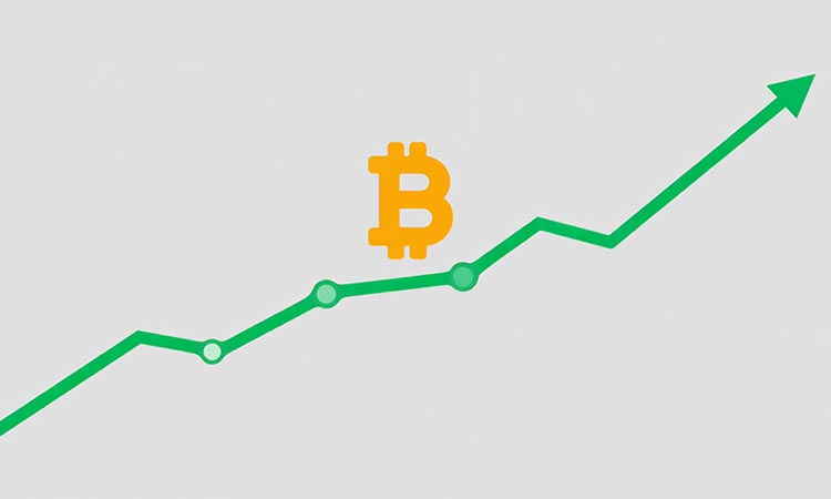 Bitcoin Gains Altitude