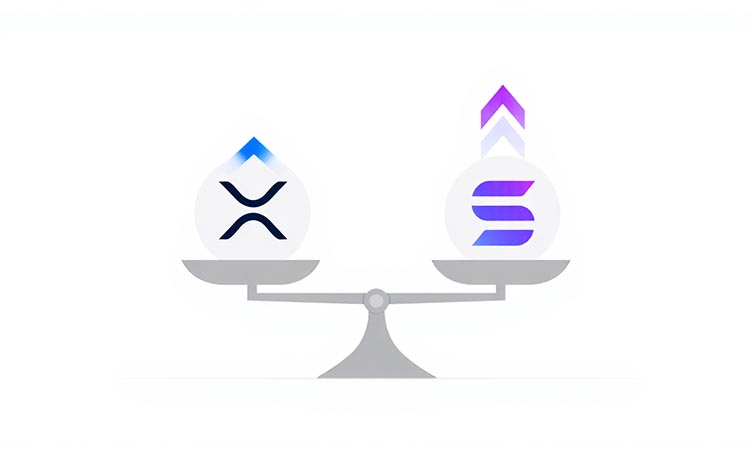 XRP vs. Solana: Brandt’s Choice