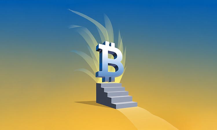 Novogratz: Bitcoin Market Remains Intact