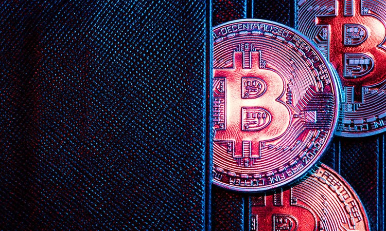 Musk and Trump: No Discussion of Cryptocurrency