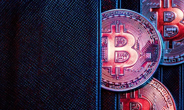 Musk and Trump: No Discussion of Cryptocurrency