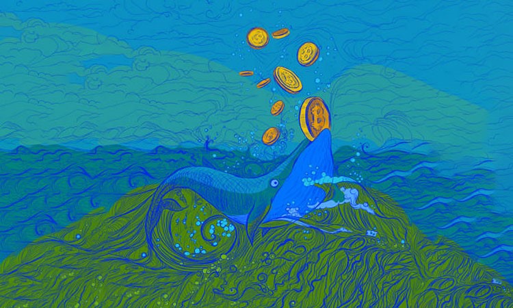 Bitcoin: Accumulation by Major Players
