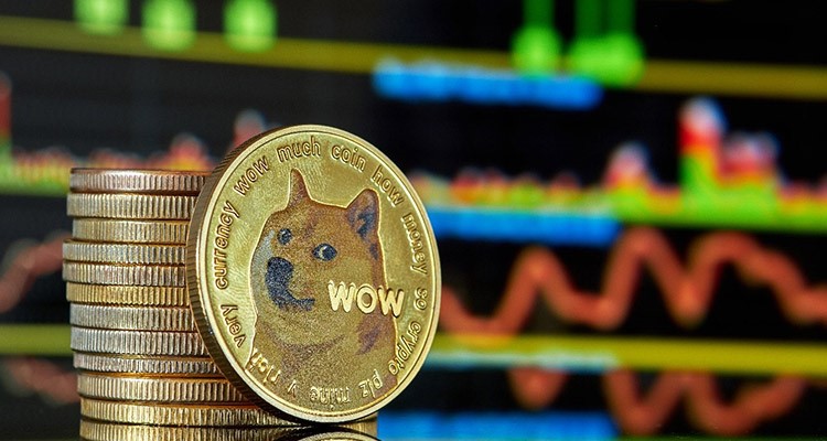 DogeChain Shutting Down: Withdraw Your Dogecoin (DOGE)