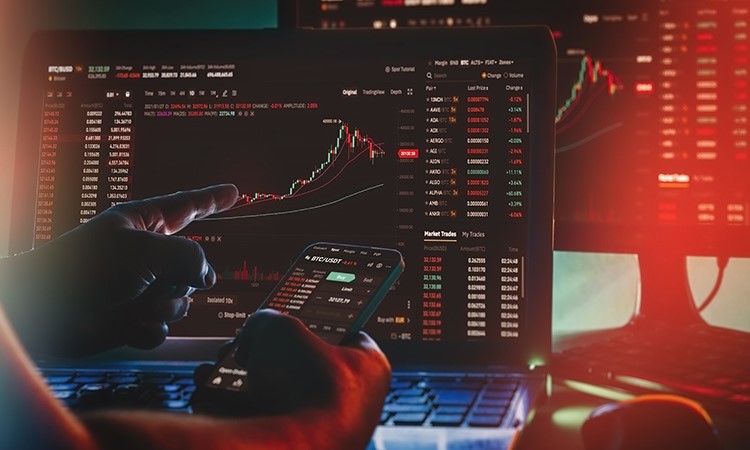 Crypto Rally: Predictions and Expectations